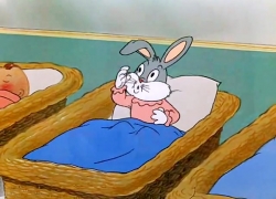 باگز بانی (چه خبر اردک؟)